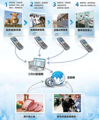 為什么建立動物溯源信息化管理系統(tǒng)?